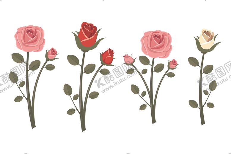 编号：70614409190056275356【酷图网】源文件下载-玫瑰花