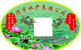 螃蟹不干胶蟹礼