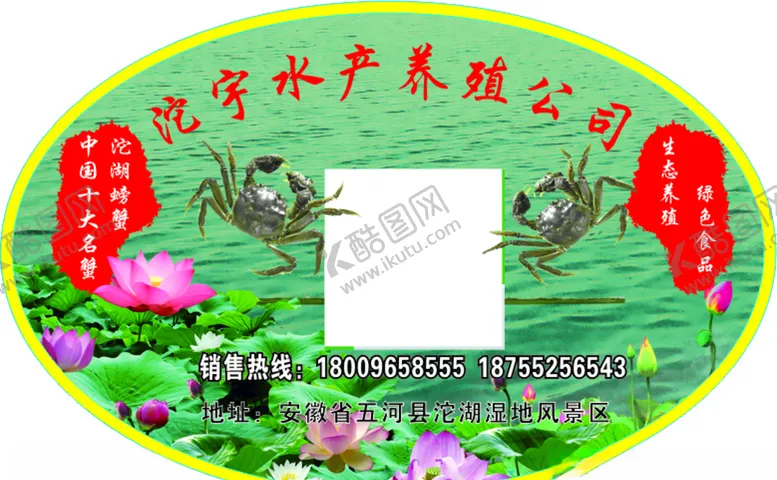 编号：38303606302346036724【酷图网】源文件下载-螃蟹不干胶