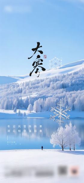 地产大寒节气海报