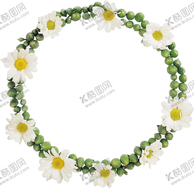 编号：42910006261735284608【酷图网】源文件下载-花图片