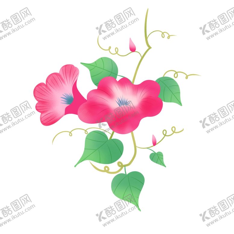 编号：78509604091649526370【酷图网】源文件下载-牵牛花手绘插画