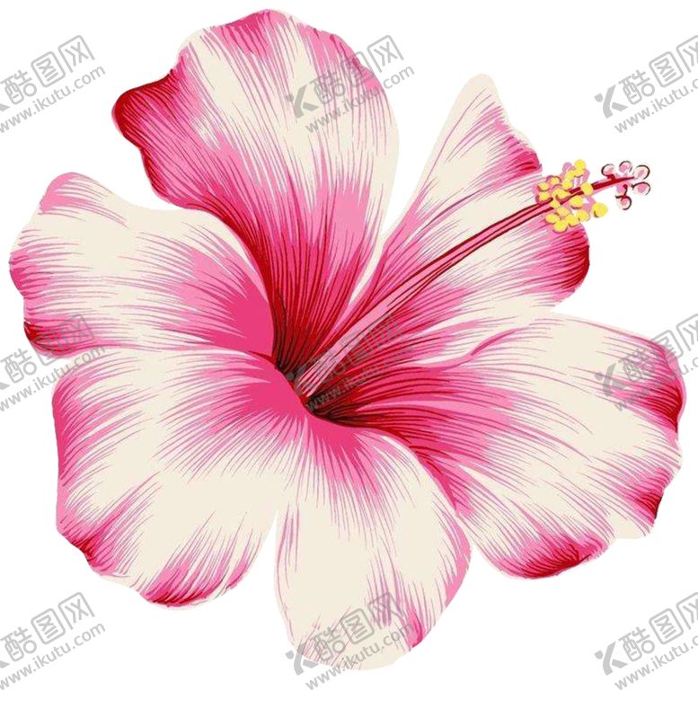 编号：40714305111804302786【酷图网】源文件下载-小红花