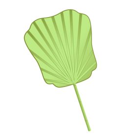 团扇艺术背景民间工艺织物