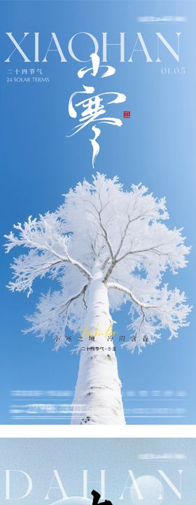 地产小寒大寒质感海报