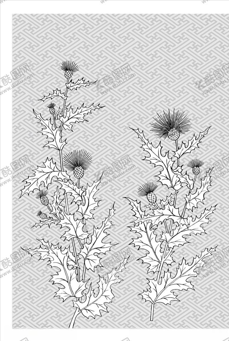 编号：74317610200146156502【酷图网】源文件下载-线描花朵