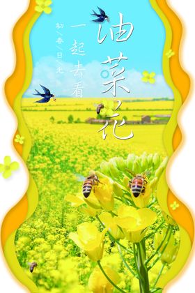 一起去看油菜花