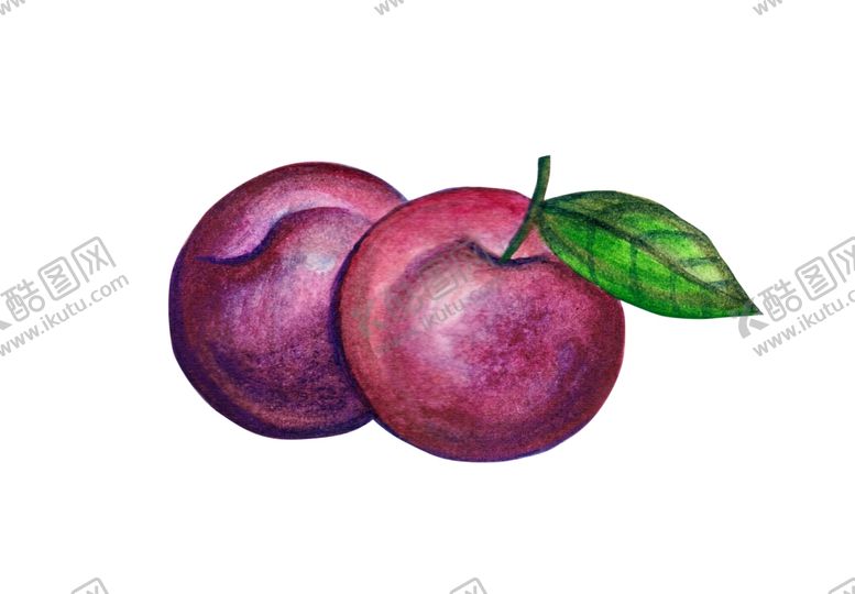 编号：17435309130842159155【酷图网】源文件下载-水果