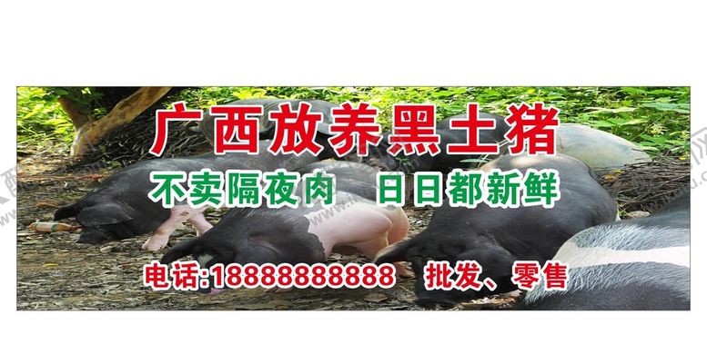 编号：14738510111148555028【酷图网】源文件下载-土猪猪肉生鲜