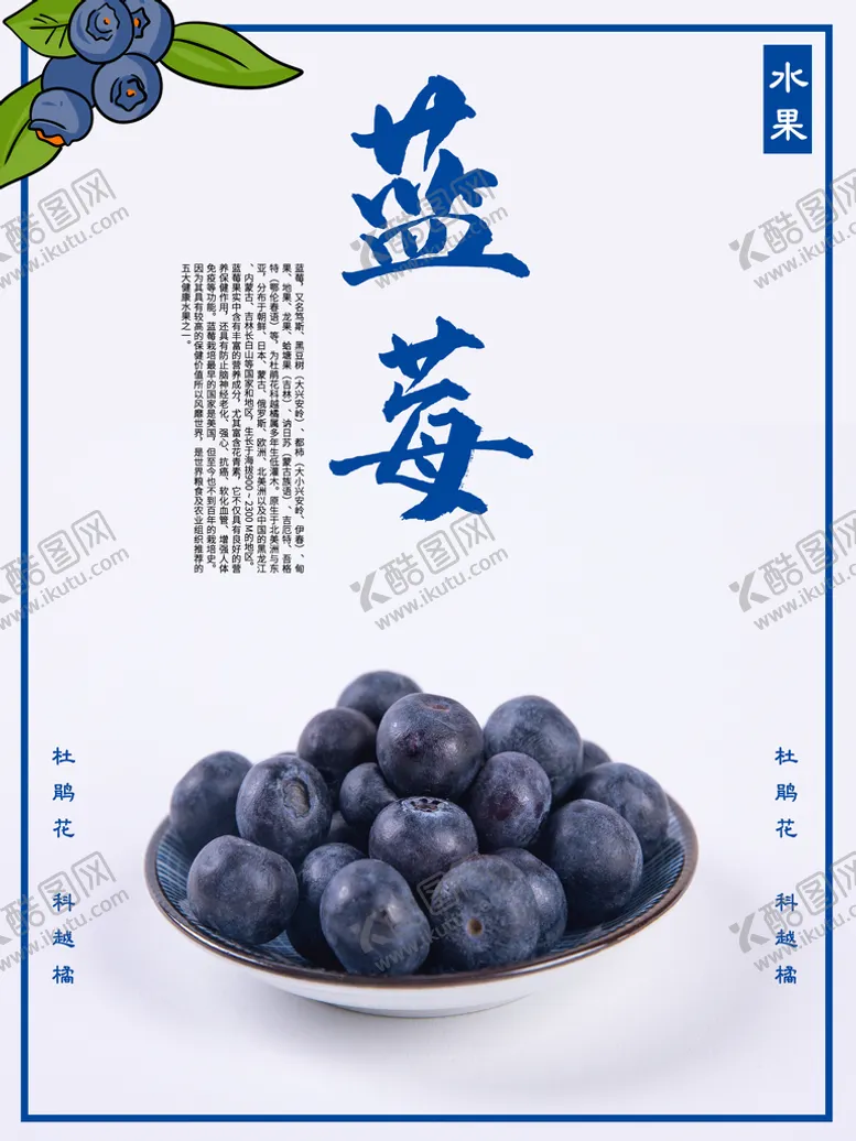 编号：06312510020847424893【酷图网】源文件下载-蓝莓