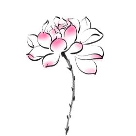 荷花素材海报清廉夏天插画