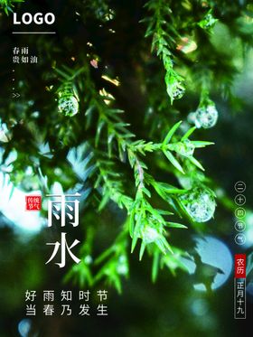 雨水高端节气稿地产稿宣传海报清明
