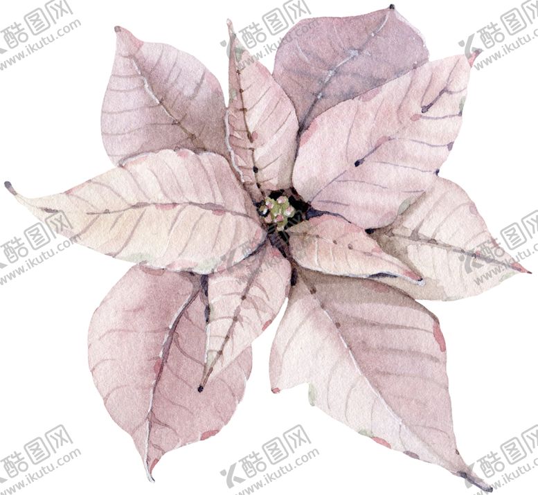 编号：19590009261356015622【酷图网】源文件下载-水彩植物