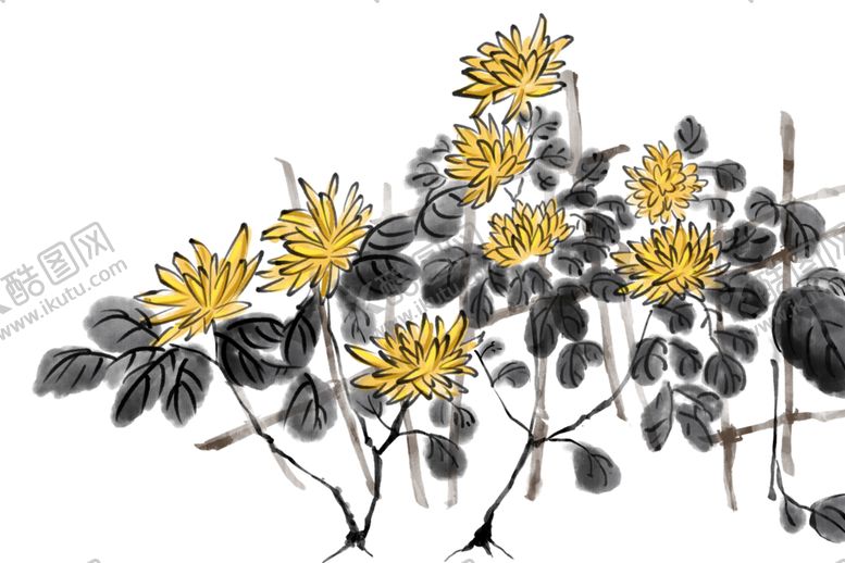 编号：75478406181037419264【酷图网】源文件下载-菊花素材