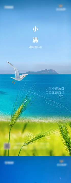 小满节气海景沙滩房地产大平