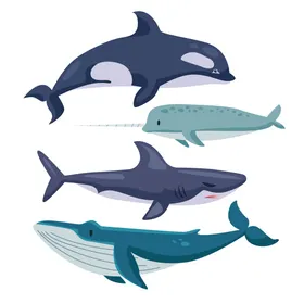 海洋生物插图卡通底世界