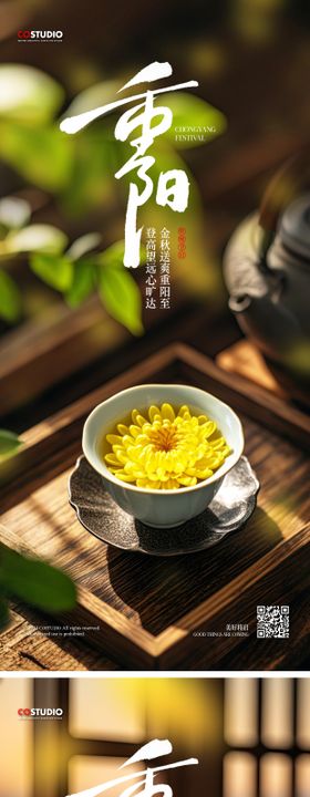 重阳节中式菊花实景海报