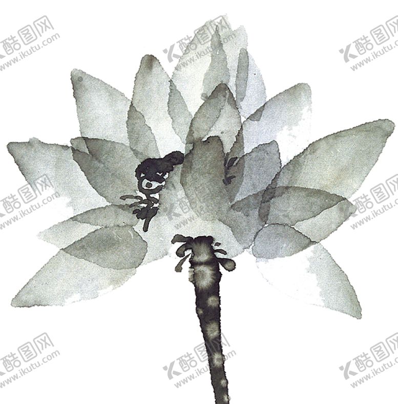 编号：38406505071212027001【酷图网】源文件下载-水墨荷花粉色荷花荷花意境