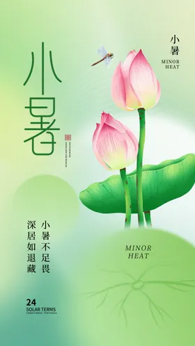 二十四节气小暑海报24大