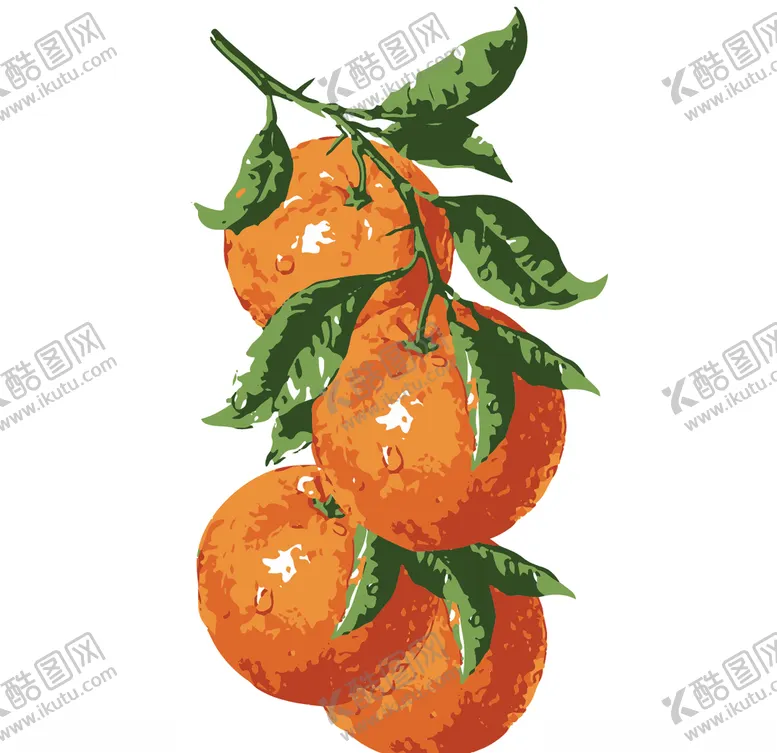 编号：33967007010542225283【酷图网】源文件下载-橙子插图