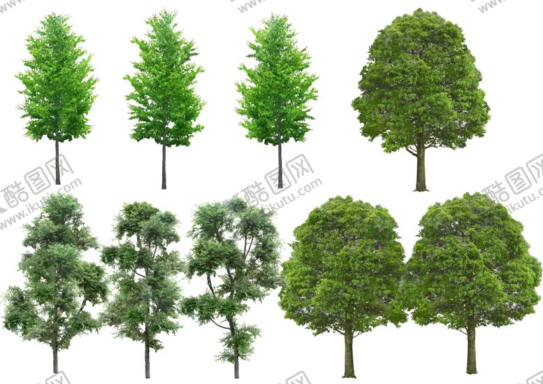 编号：10203010130723377755【酷图网】源文件下载-景观设计高清植物树木素材贴图