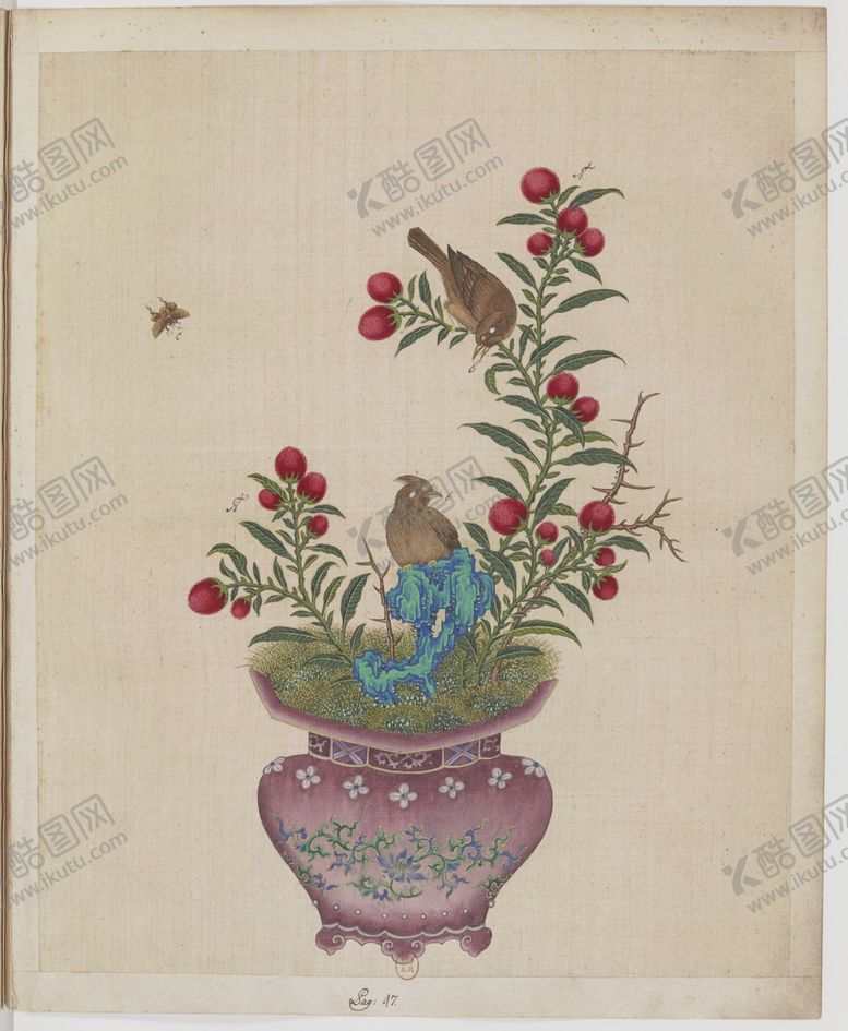 编号：31072709110137213573【酷图网】源文件下载-盆景花鸟