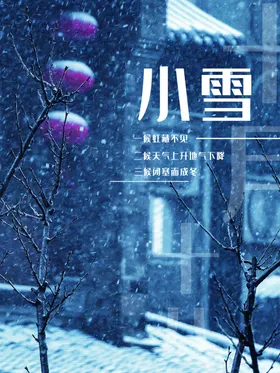 小雪海报24节气二十四节气展架