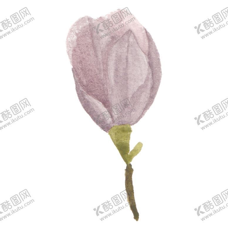 编号：70269406291404012923【酷图网】源文件下载-花朵