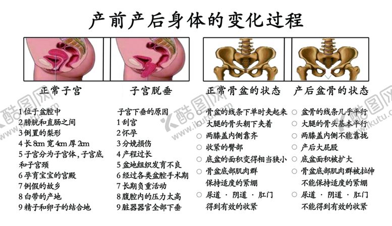 编号：33775209290036591588【酷图网】源文件下载-产后修复