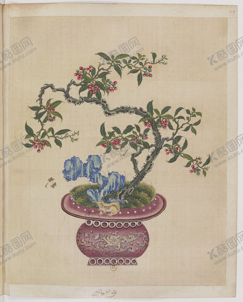 编号：55214209251005055550【酷图网】源文件下载-盆景花鸟