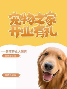 宠物海报店开张领养店猫