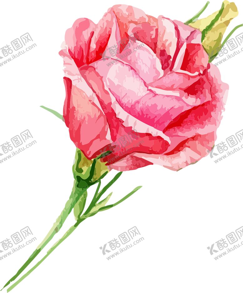 编号：16214109201554143820【酷图网】源文件下载-鲜花素材