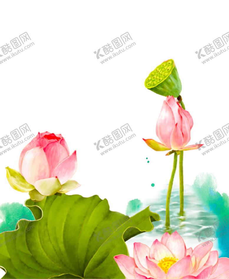 编号：16237306160335111838【酷图网】源文件下载-荷花元素
