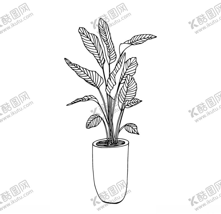 编号：84859610161652475896【酷图网】源文件下载-植物线稿