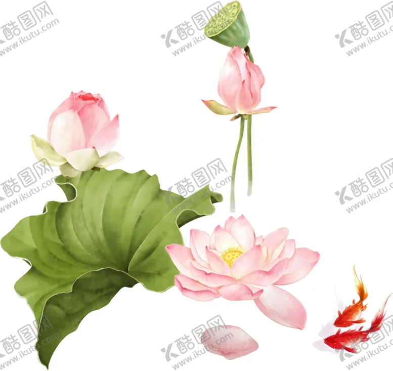 编号：74023203311435377156【酷图网】源文件下载-荷花元素