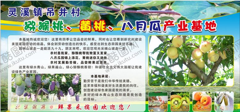 编号：71646805070323061337【酷图网】源文件下载-猕猴桃产业基地
