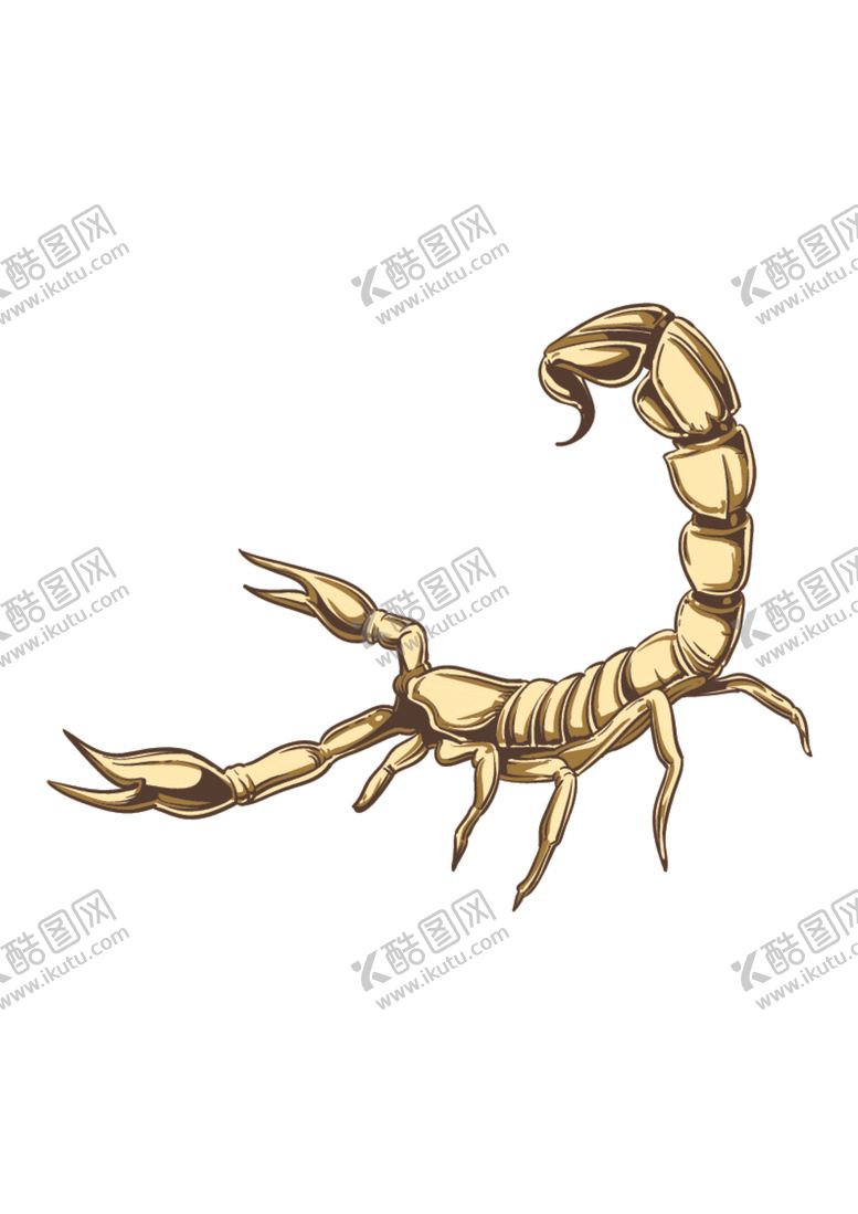 编号：74061210032221587888【酷图网】源文件下载-创意可爱卡通动物头像素材