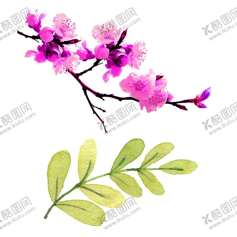 编号：59195205111028451297【酷图网】源文件下载-鲜花素材