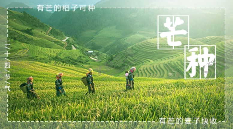 编号：64434206281035551818【酷图网】源文件下载-农耕