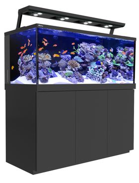 水族馆