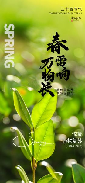 惊蛰传统24节气摄影图海报