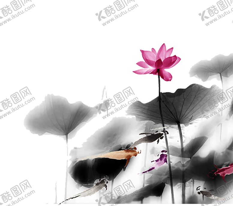 编号：16909305050629055067【酷图网】源文件下载-水墨荷花粉色荷花荷花意境