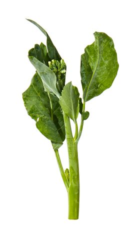 蔬菜芥兰农作物菜