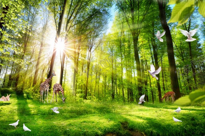 编号：62667710290508344862【酷图网】源文件下载-现代风景