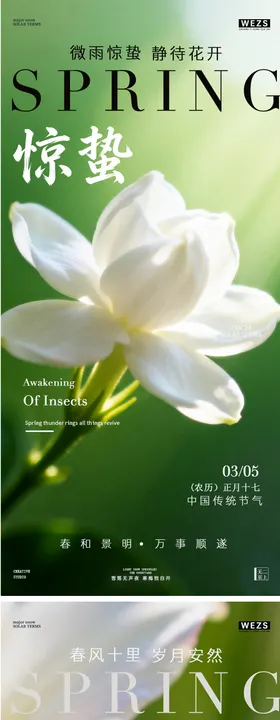 惊蛰春分春天花卉水墨风海报