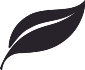 植物系列树叶