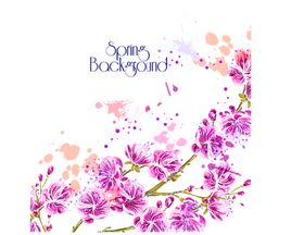 鲜花素材