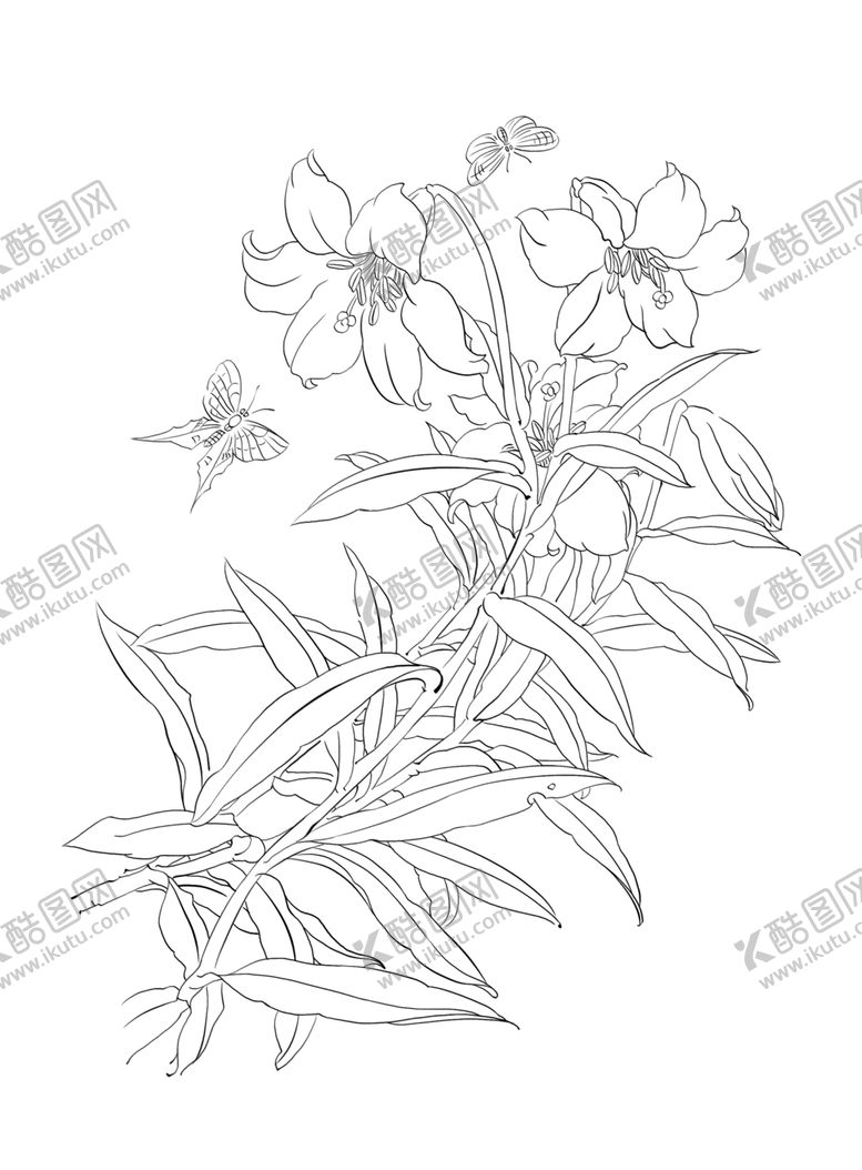 编号：54098309300645432397【酷图网】源文件下载-工笔花卉