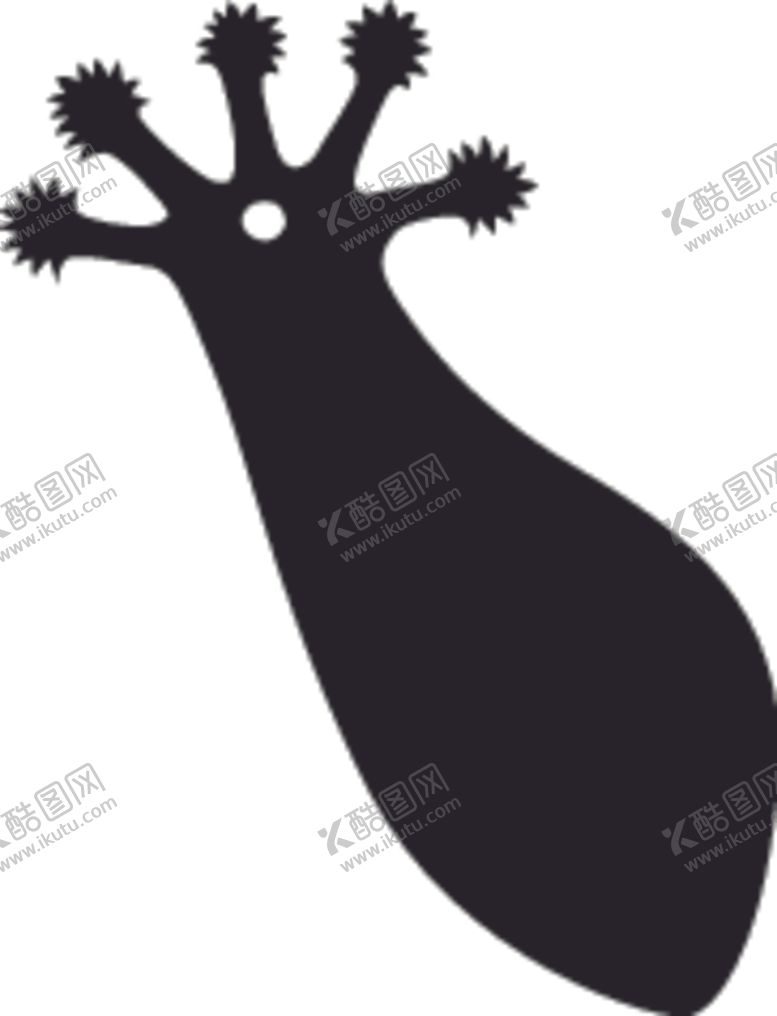 编号：92877910252310565132【酷图网】源文件下载-海洋生物系列珊瑚