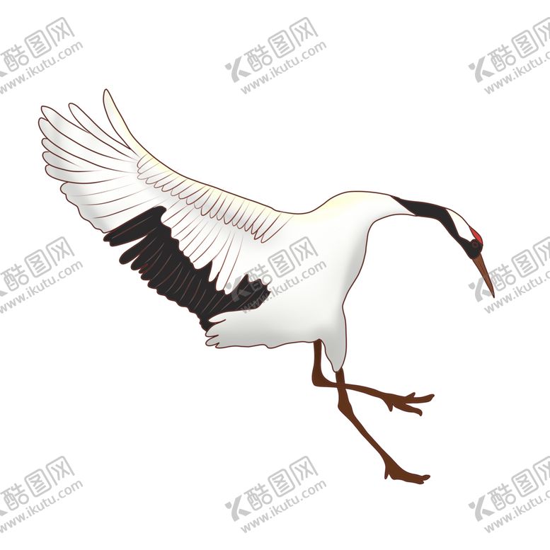编号：75947306240435373608【酷图网】源文件下载-水墨仙鹤